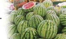 今日吃瓜感悟,品味人间百态